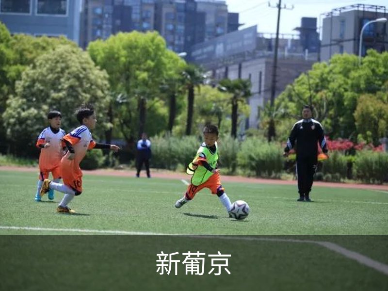 新葡京介绍